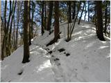 St. Ulrich / Šenturh - Razgledišče Petelinc / Aussicht Petelinz